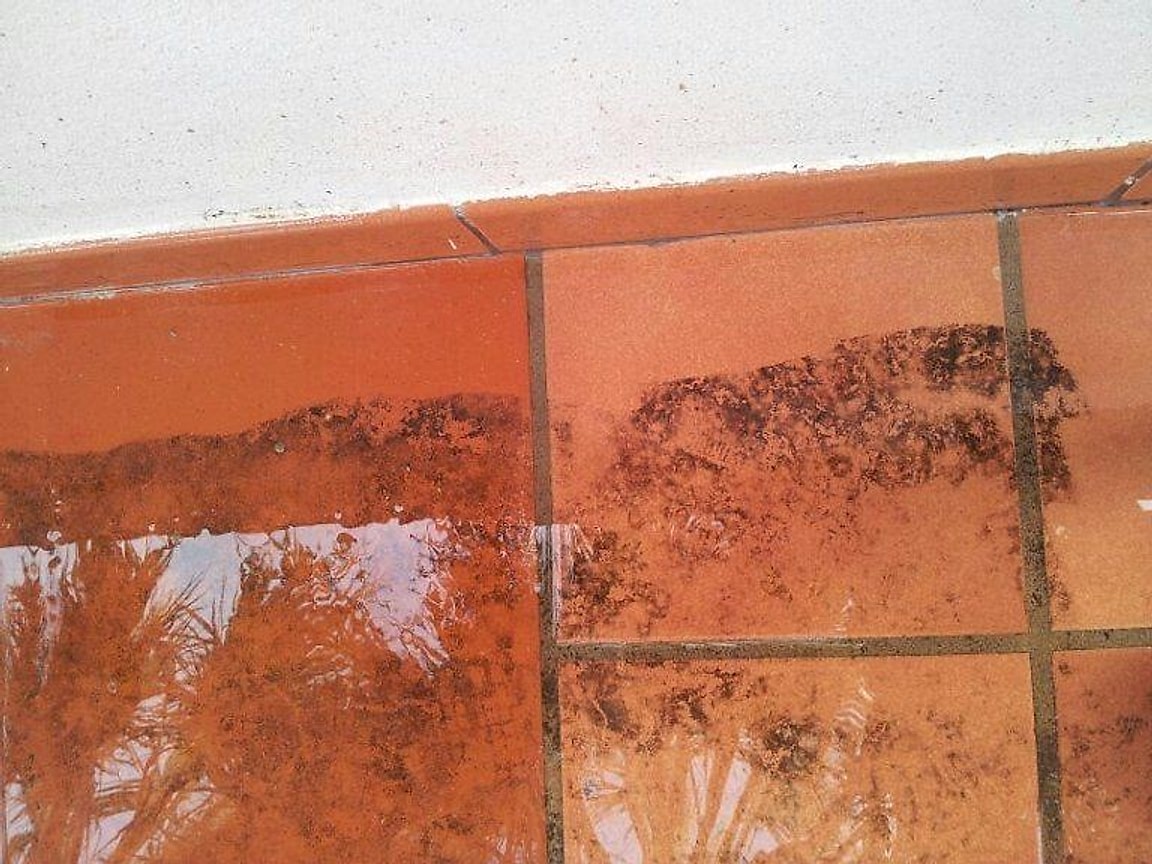 Lavaggio meccanico di una pavimentazione in cotto